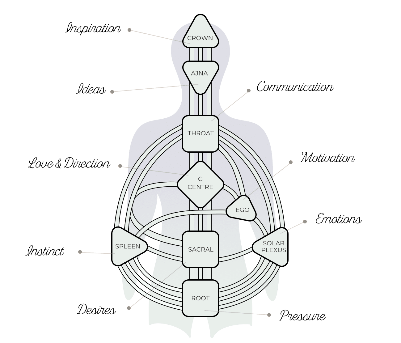 human-body-graph-desktop-1